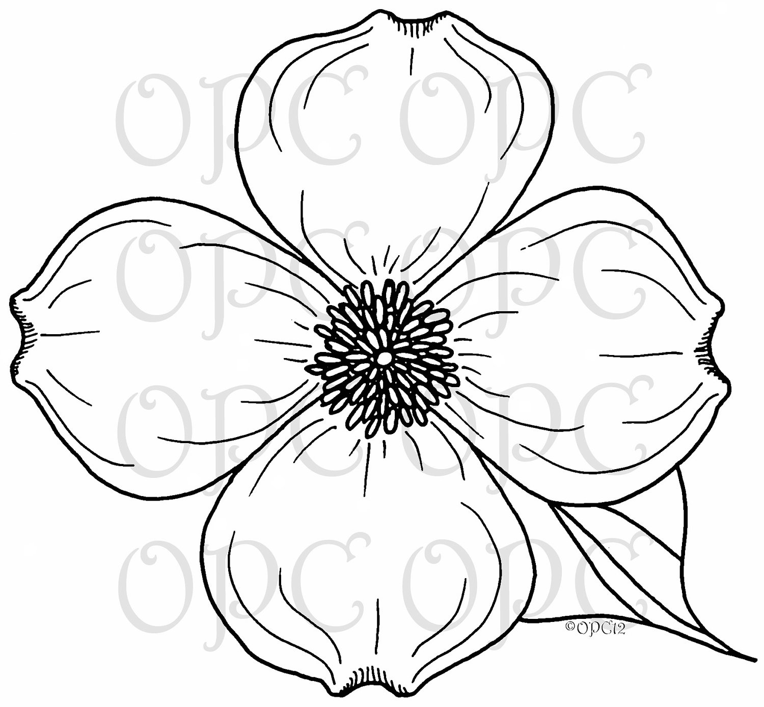 1500x1388 Dogwood Blossom Clip Art Clipart Collection