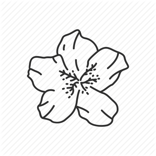 512x512 15 Dogwood Vector Flower State For Free Download On Mbtskoudsalg