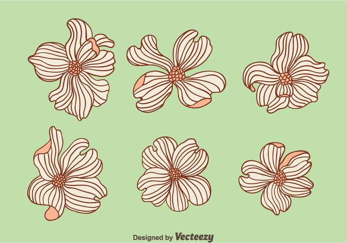 700x490 Hand Drawn Dogwood Flowers Vector