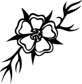 164x167 Image Search Results