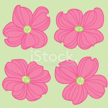 440x440 Pink Dogwood Flowers Stock Vector