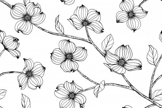 626x417 Seamless Dogwood Flower Pattern Background. Vector Premium Download