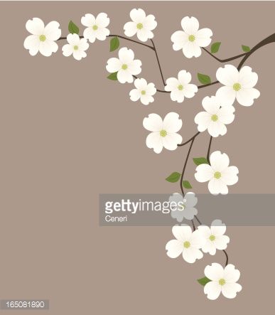 387x443 Vector Art Dogwood Filters Vector Art, Free