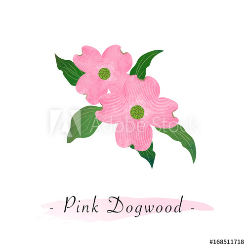 500x500 Colorful Watercolor Texture Vector Botanic Garden Flower Pink