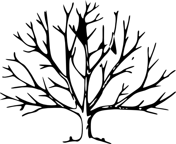 600x491 Collection Of Free Vector Tree Dogwood. Download On Ubisafe