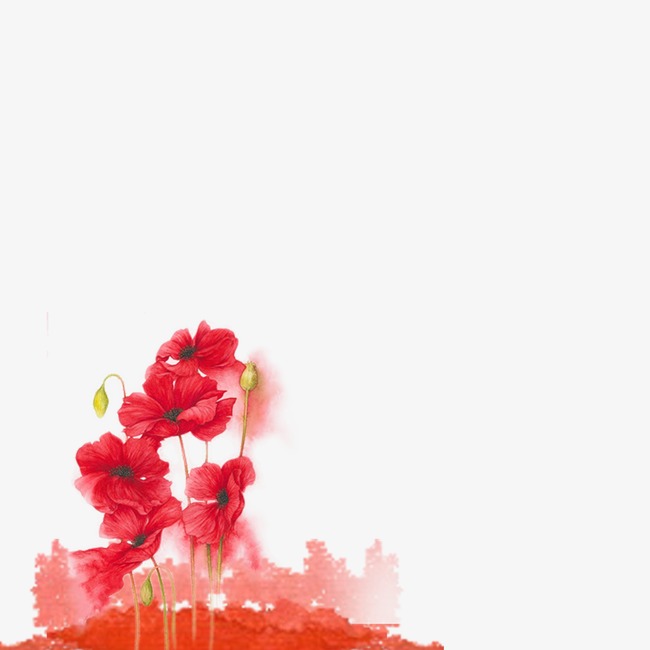 650x650 Dogwood, Dogwood Vector Png And Vector For Free Download