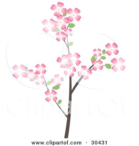 450x470 Dogwood Clip Art Dogwood Flowers Vector Dogwood Tree Clip Art