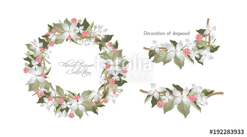 500x278 Floral Frame Set, Deco Of Dogwood Stock Image And Royalty Free