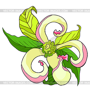 300x300 Is Florida Dogwood Flower