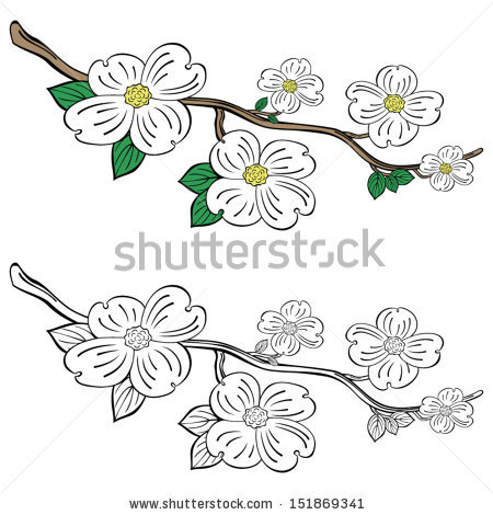 450x470 Vector Dogwood Flower Free Clipart Clear Background