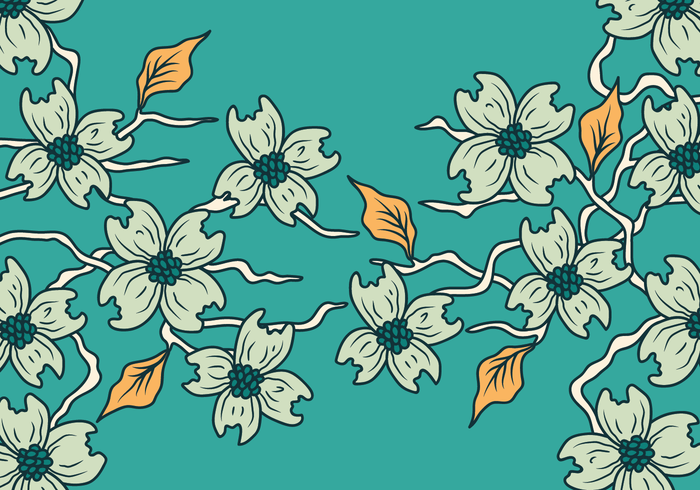 700x490 Dogwood Vector Illustration