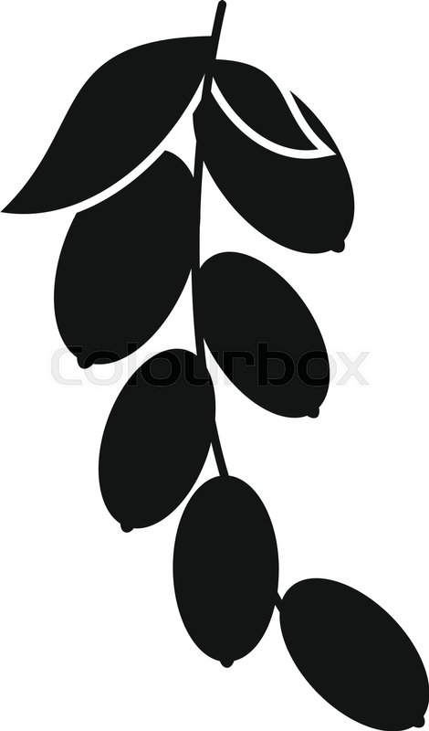 470x800 Branch Of Cornel Or Dogwood Berries Icon. Simple Illustration Of