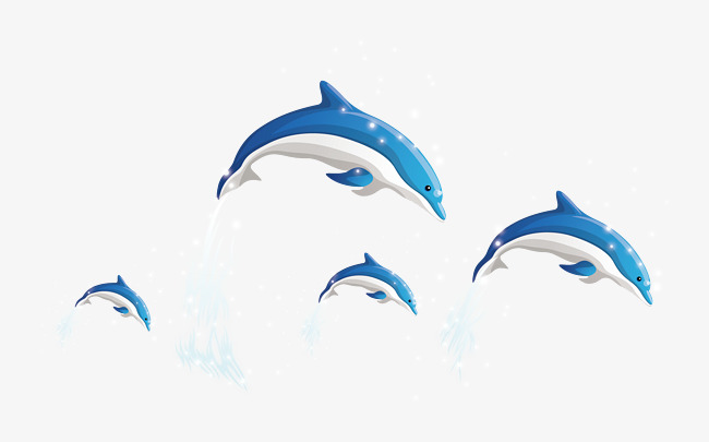650x405 Dolphins Vector, Dolphin, Vector, Whale Class Png And Vector For