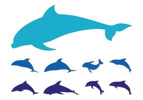 286x200 Dolphin Free Vector Art