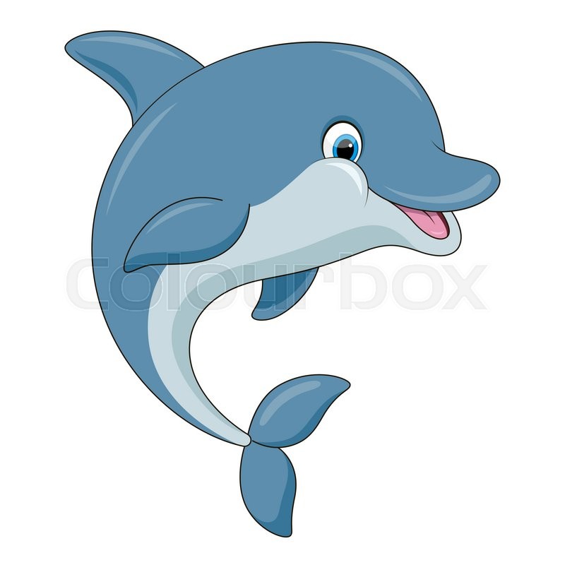 800x800 Cute Cartoon Dolphin. Vector Illustration With Simple Gradients