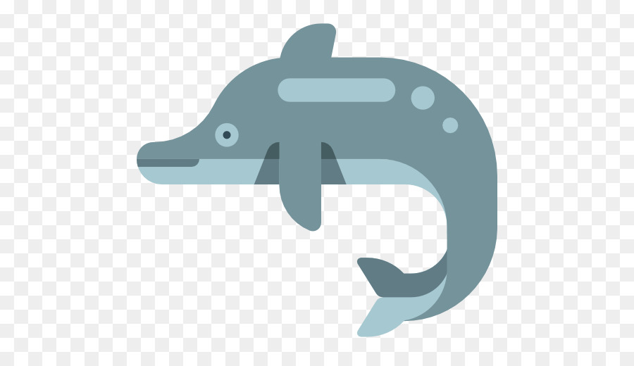 900x520 Dolphin Computer Icons