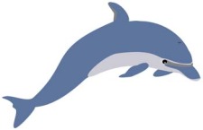 225x145 Dolphin Vector 1 Free Vector 4vector