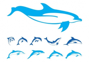 285x200 Dolphin Vector Free Vector Graphic Art Free Download (Found 161