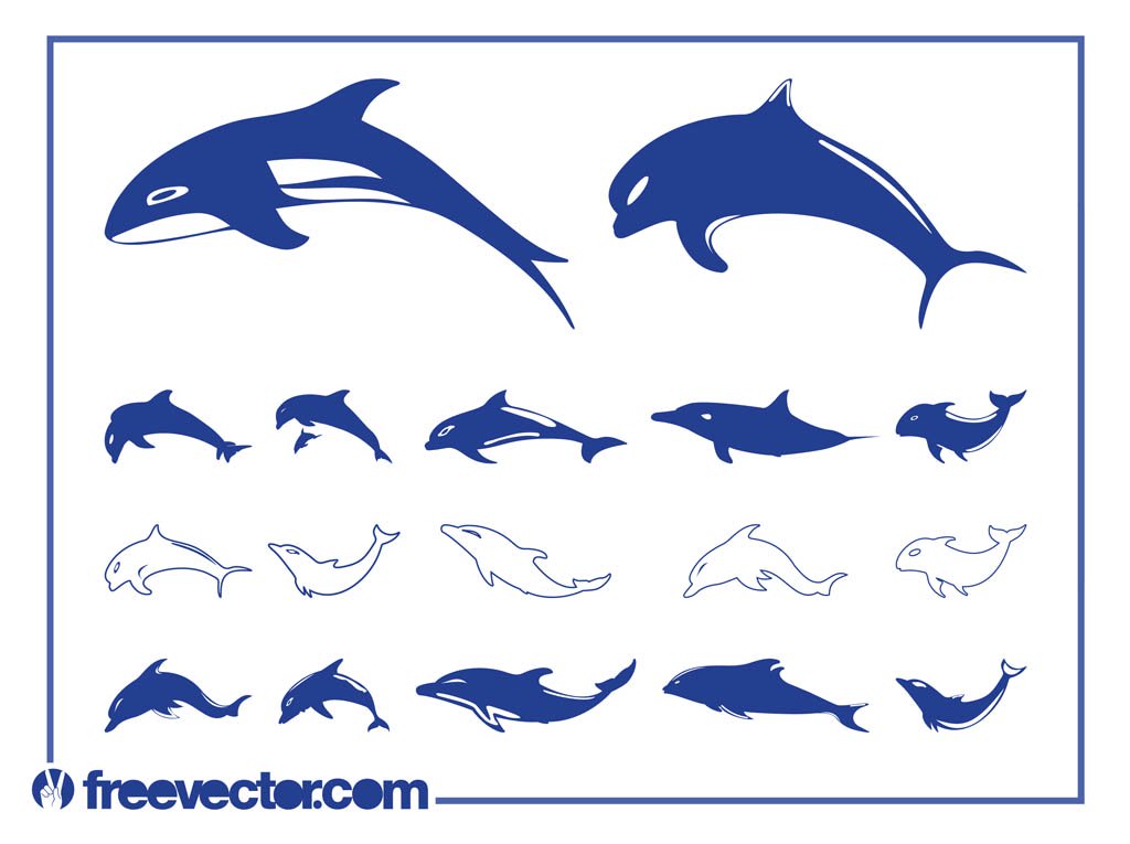 1024x765 Dolphins Vector Graphics Vector Art Amp Graphics