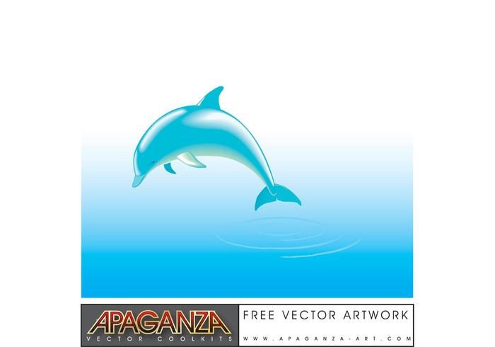 Dolphin Vector Free at GetDrawings Free download