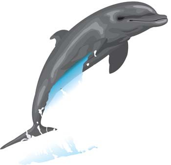 350x339 Free Dolphin Vector 6 Psd Files, Vectors Amp Graphics