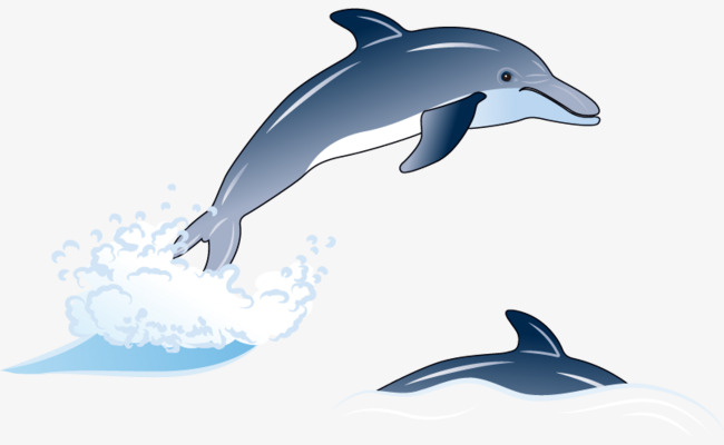 650x400 Sea Dolphin Element Vector Effects, Dolphins Vector, Effect, Sea