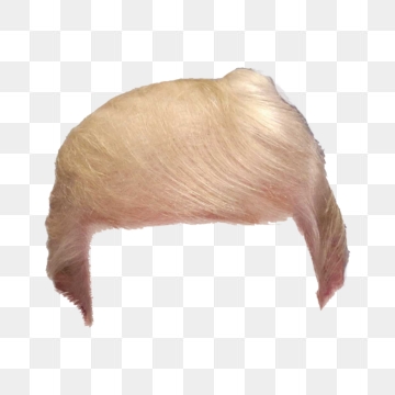 360x360 Donald Trump Png Images Vectors And Psd Files Free Download On