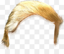 260x220 Download Donald Trump United States Trash Doves Conservativ Donald