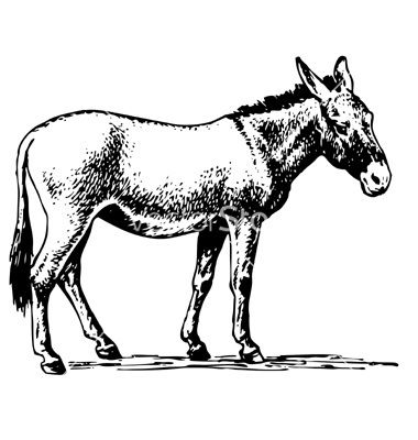 380x400 Donkey Vector 735122 +by+barbulat On Pepper Jacks