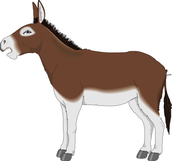 600x561 Donkey 2 Free Vector In Open Office Drawing Svg ( .svg ) Vector