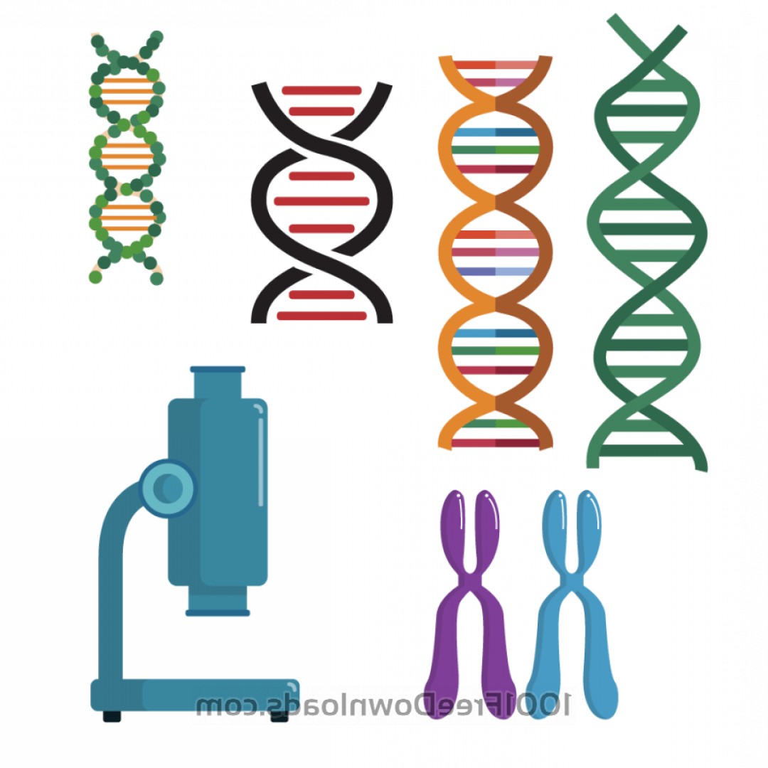 1080x1080 Dna Double Helix Scientific Vector Set Arenawp