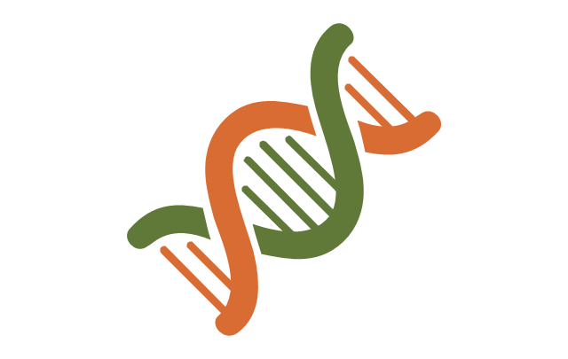 640x405 Dna Clipart Colourful ~ Frames ~ Illustrations ~ Hd Images ~ Photo