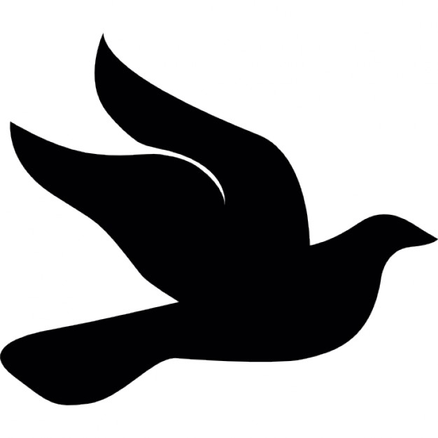 626x626 Dove Side Icons Free Download