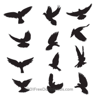 200x200 Dove Free Vector Graphic Art Free Download (Found 307 Files) Ai