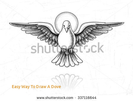 450x344 Easy Way To Draw A Dove Vector Illustration Holy Spirit Dove