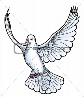 297x340 Image 2275680 White Dove Vector From Crestock Stock Photos