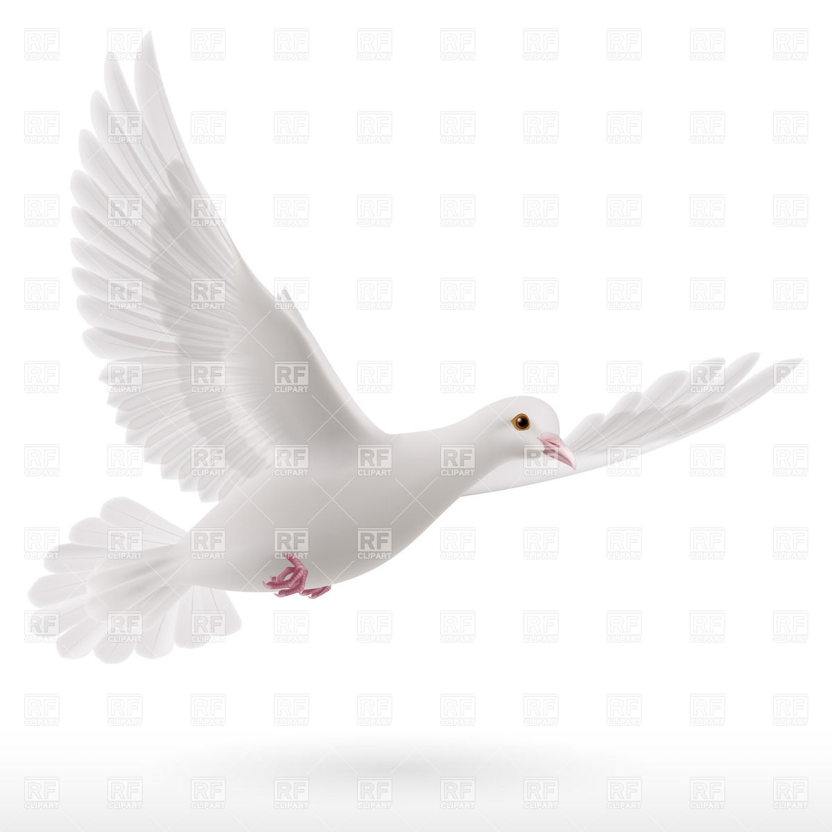 1200x1200 White Flying Dove Vector Image Vector Artwork Of Plants And