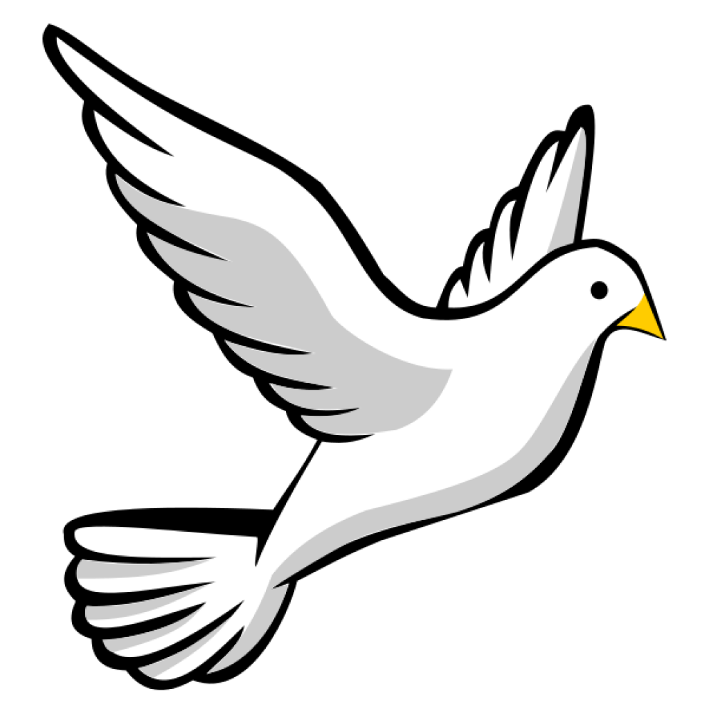 1024x1024 Collection Of Free Dove Vector Turtle. Download On Ubisafe