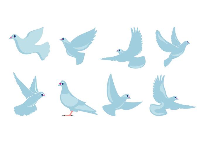 700x490 Dove Free Vector Art