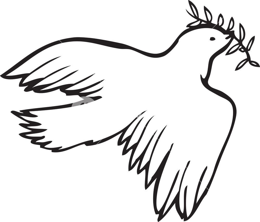 1000x852 Dove Vector Element Royalty Free Stock Image