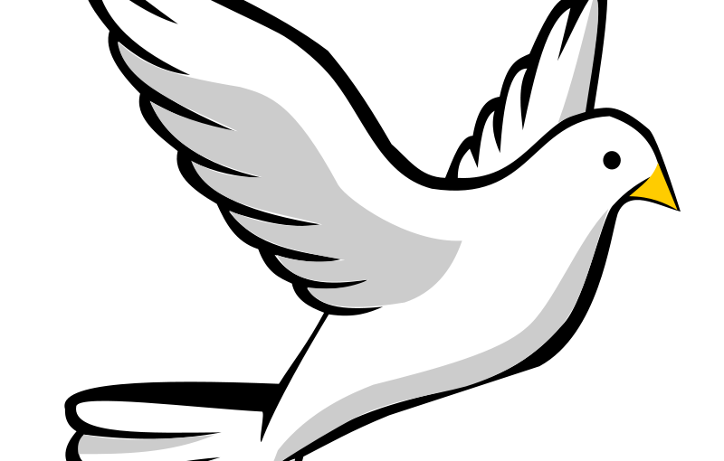 800x510 19 Doves Vector Black And White Huge Freebie! Download For