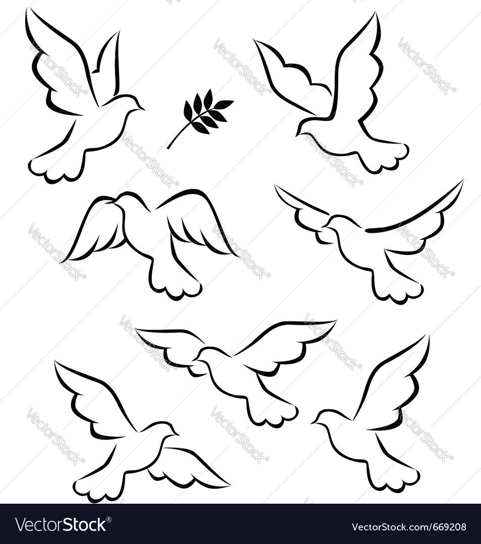 954x1080 Pin By Anilla Soma On My Zentangles Illustrators And