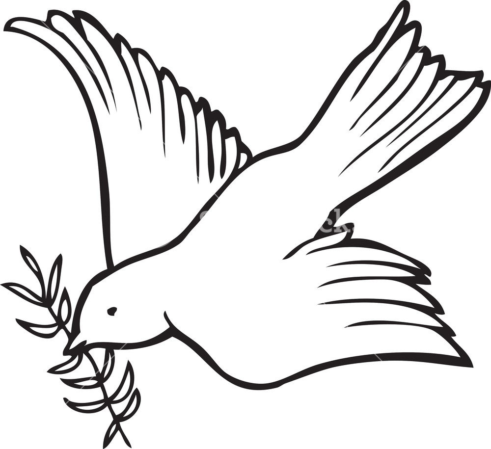 1000x915 Dove Vector Element Royalty Free Stock Image