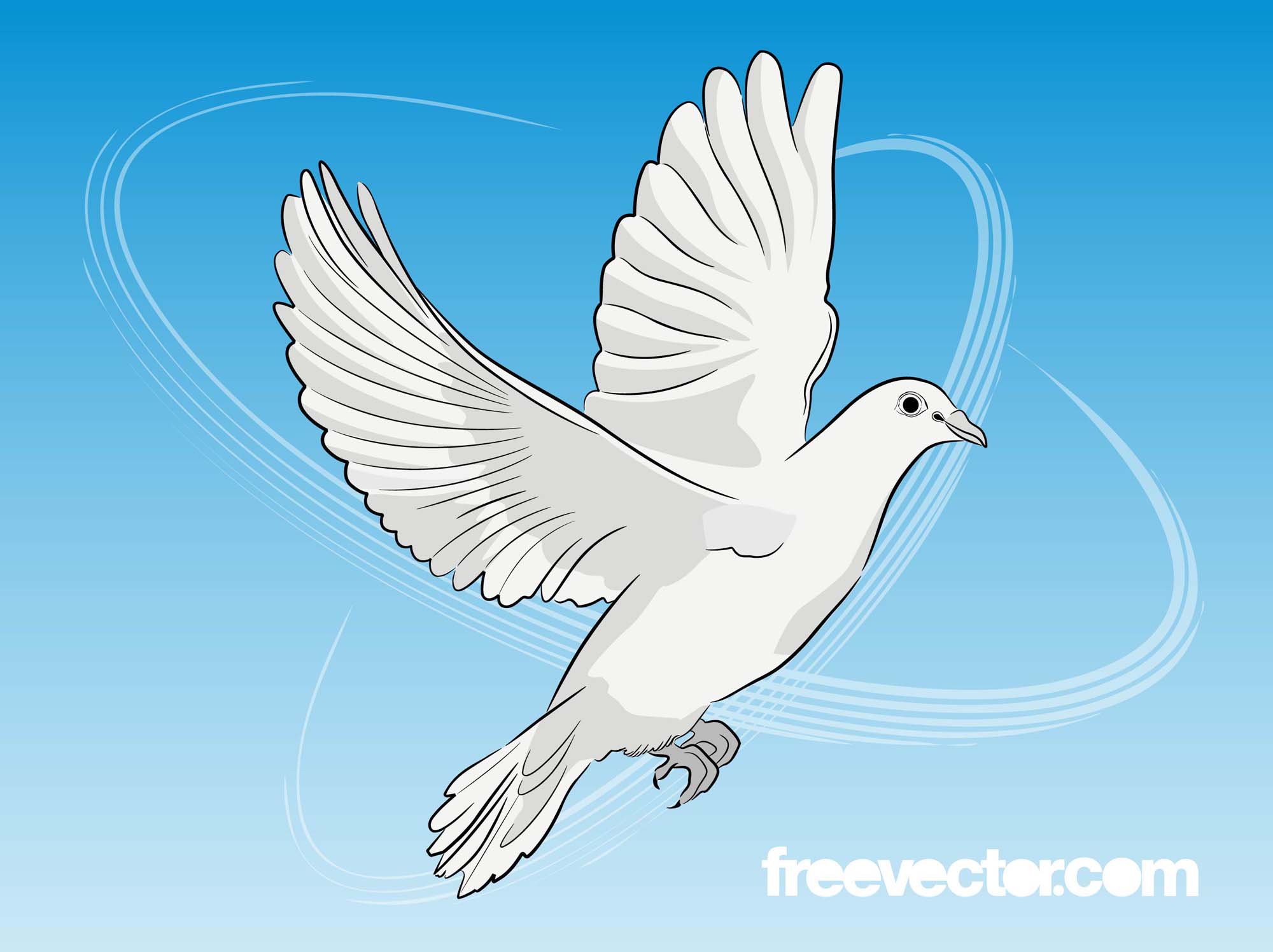 2000x1495 Dove Vector Vector Art Amp Graphics