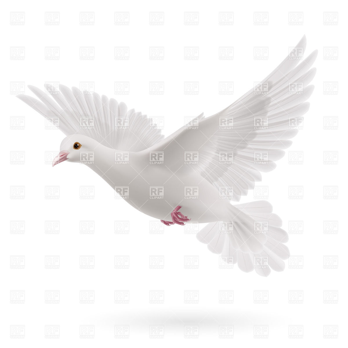 1200x1200 Realistic Flying White Dove Vector Image Vector Artwork Of