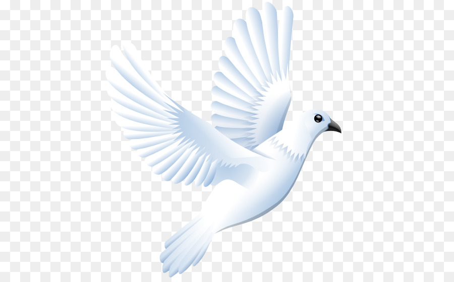 900x560 Columbidae Clip Art