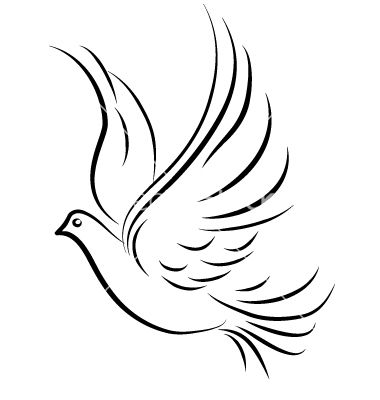 380x400 Dove Vector 42427 +by+naturespixel On New Logo