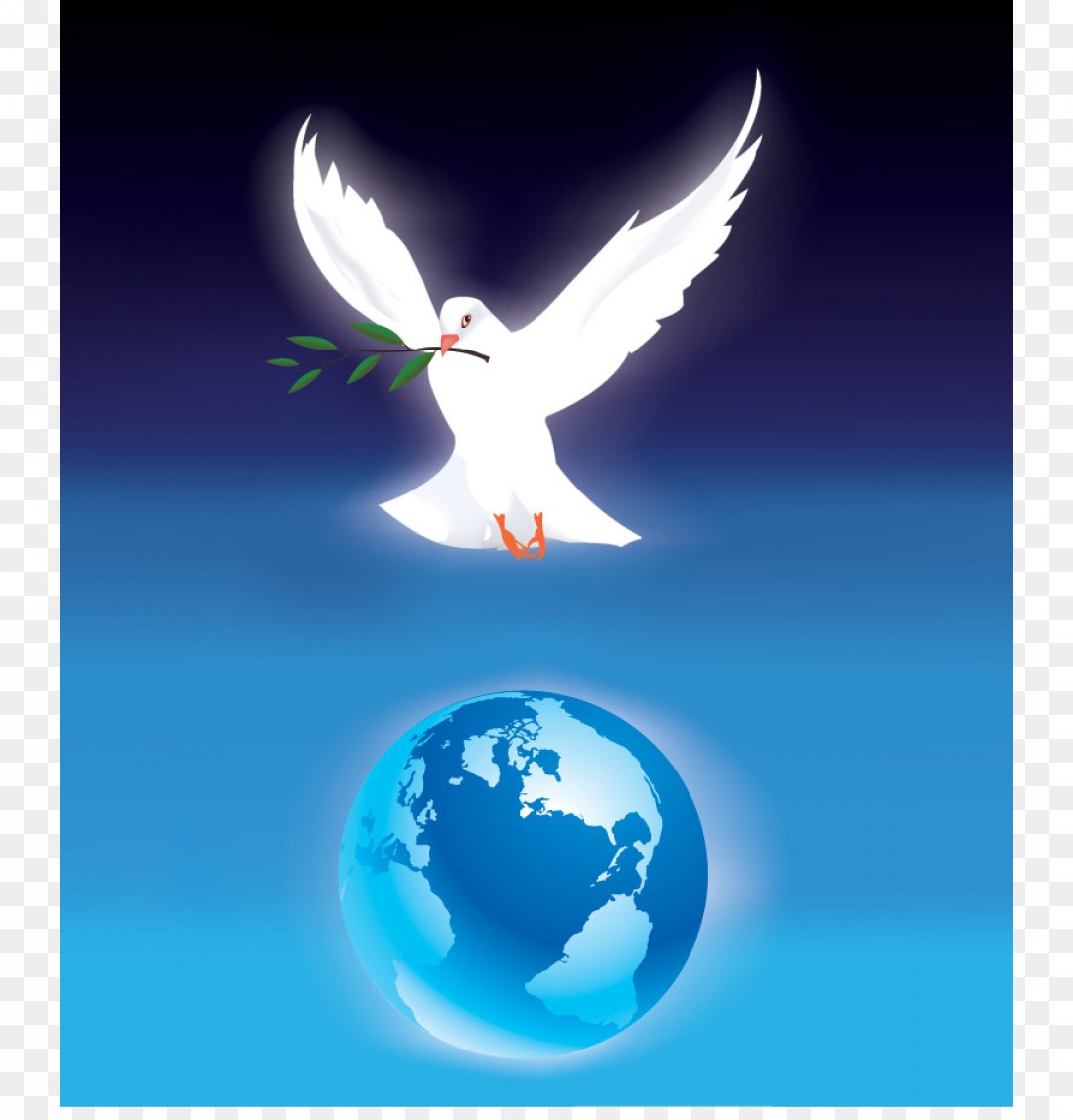 1080x1128 Png Bird Drawing Clip Art Vector Dove Geekchicpro