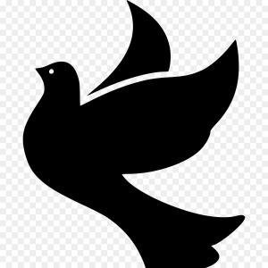 300x300 Stock Photo Love Card With Heart And Doves Vector Illustration