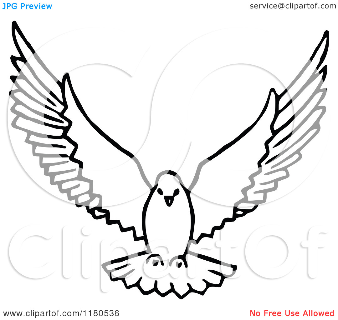 1080x1024 Collection Of Dove Flying Up Drawing High Quality, Free